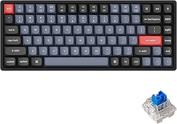 Amazon | 【国内正規品】Keychron K2 Pro ワイヤレス・カスタム